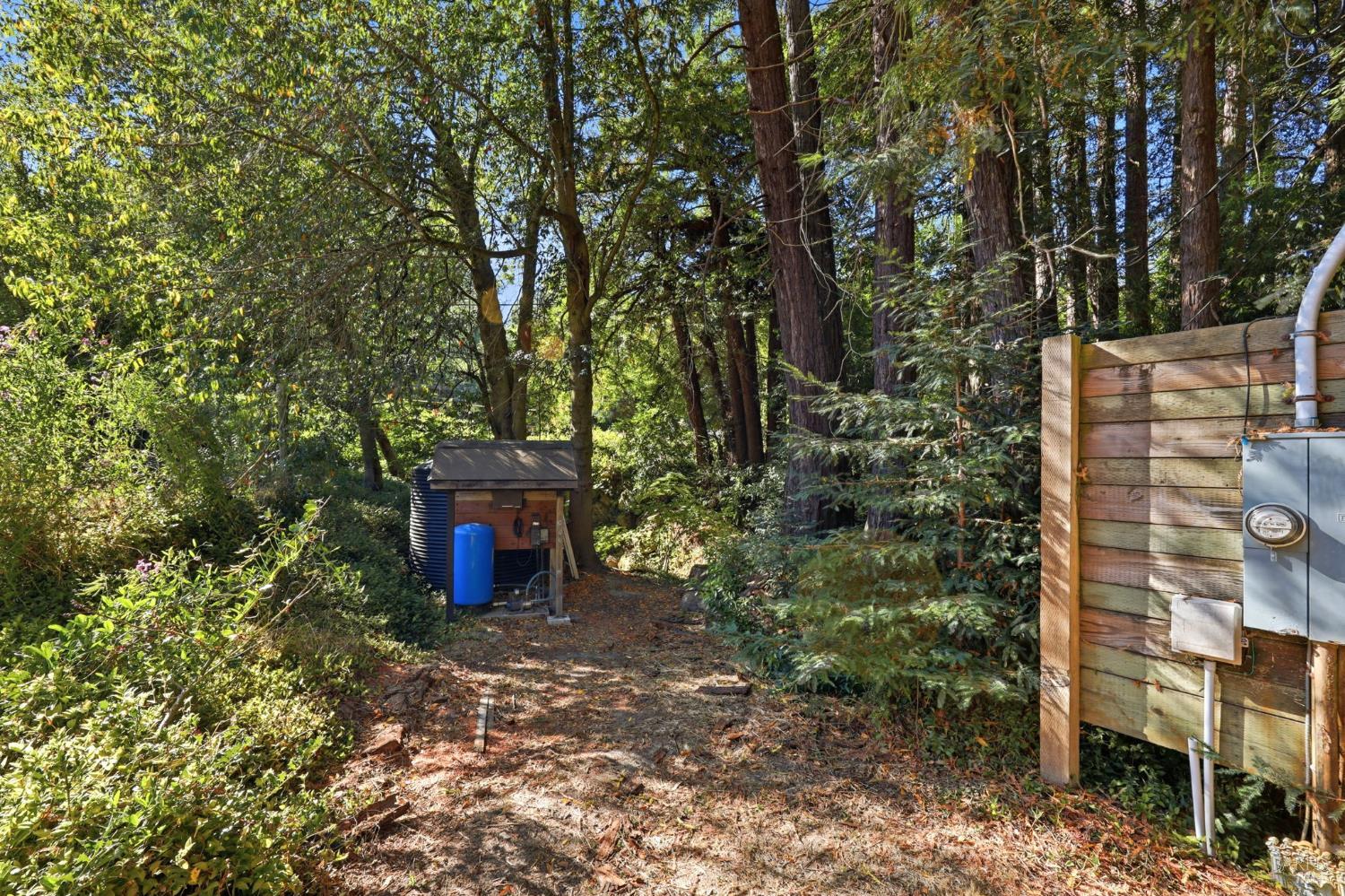 11395 Bodega Highway Sebastopol CA 95472