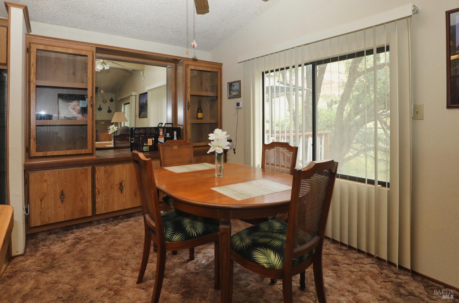 11480 San Joaquin Extension Clearlake CA 95422