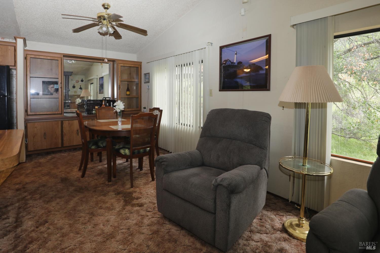 11480 San Joaquin Extension Clearlake CA 95422