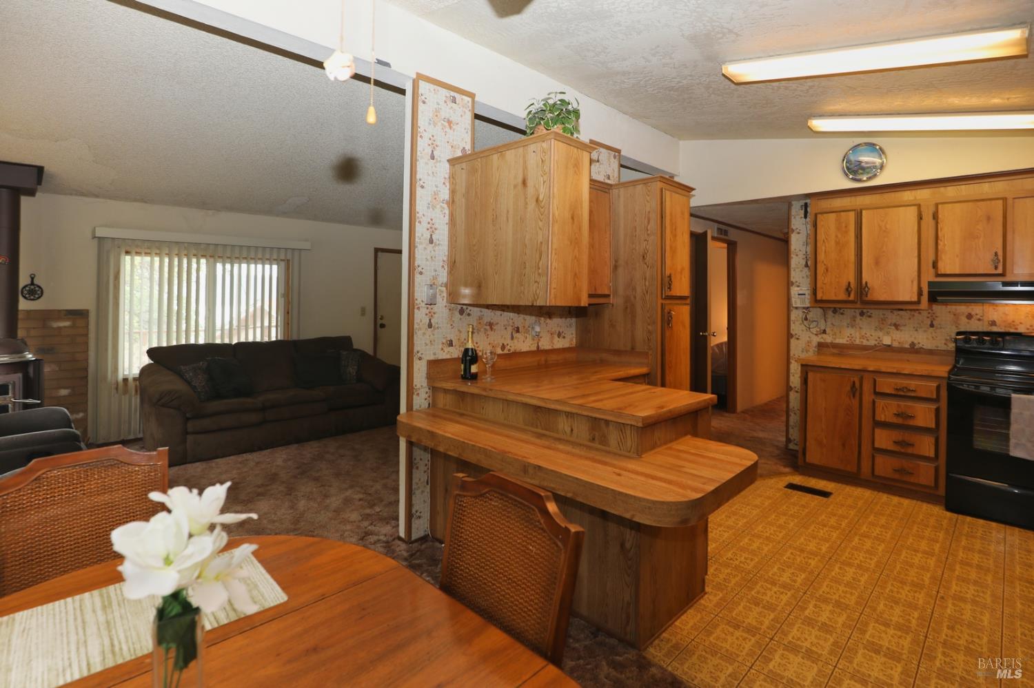 11480 San Joaquin Extension Clearlake CA 95422