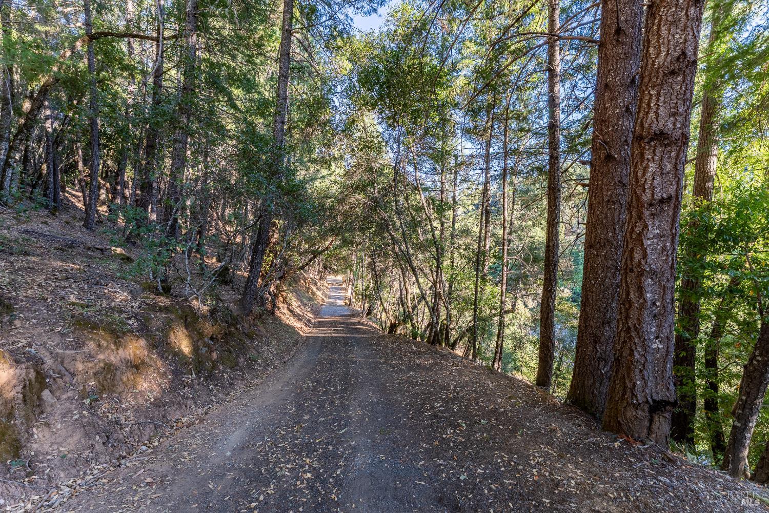 21500 Ridgeway Highway Potter Valley CA 95469