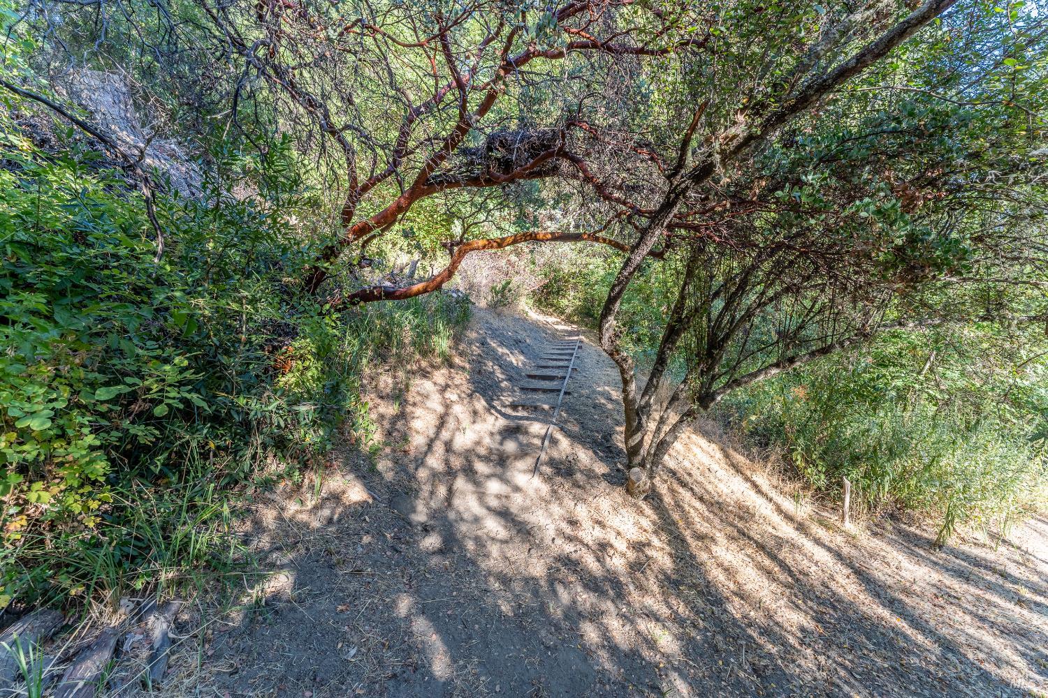 21500 Ridgeway Highway Potter Valley CA 95469