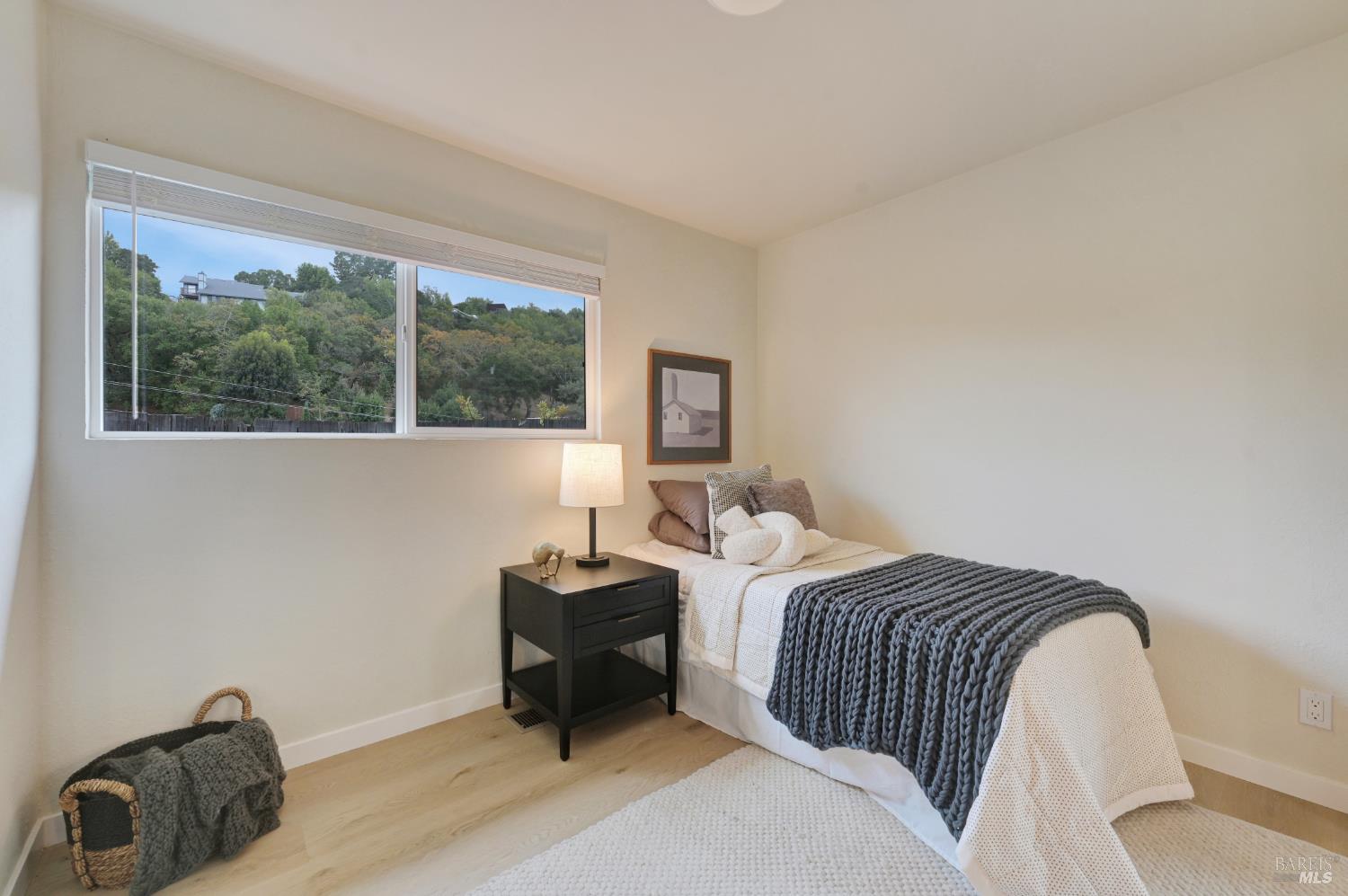 3 Renata Court Novato CA 94947