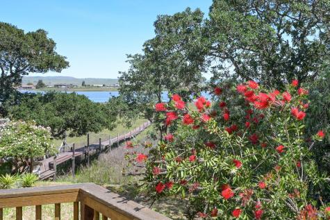 39 Havenwood Drive Novato CA 94945
