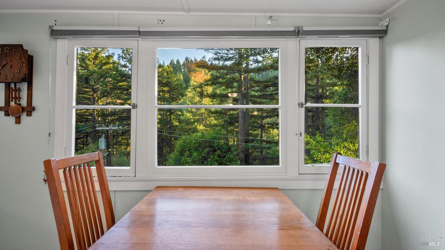 14801 Canyon 4 Road Guerneville CA 95446