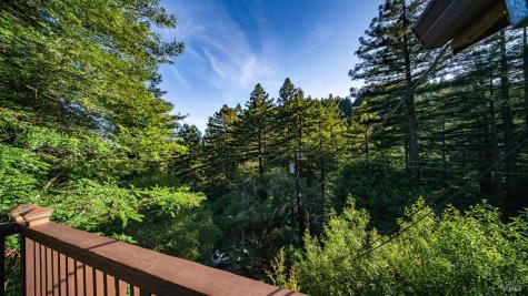14801 Canyon 4 Road Guerneville CA 95446