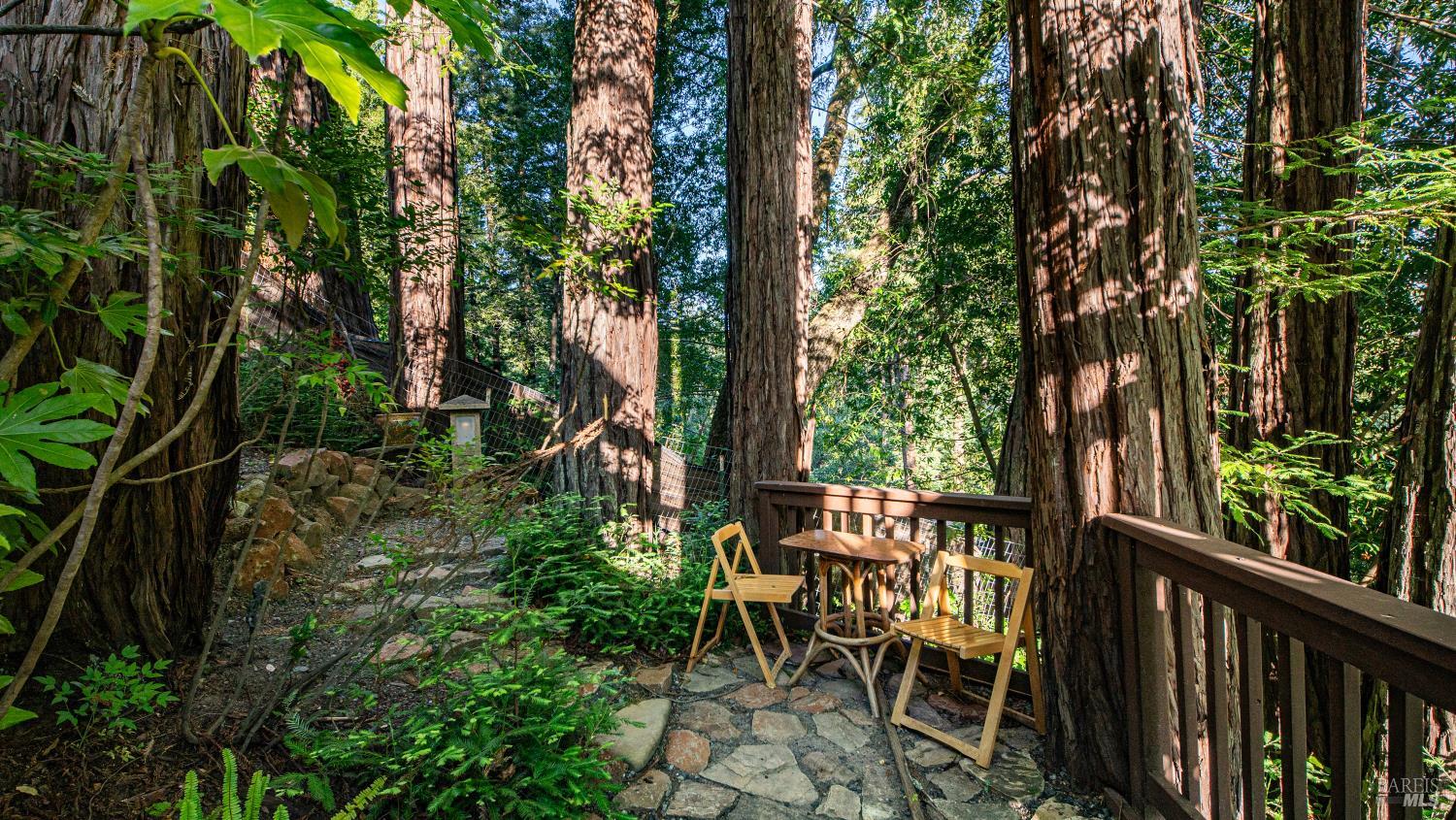 14801 Canyon 4 Road Guerneville CA 95446