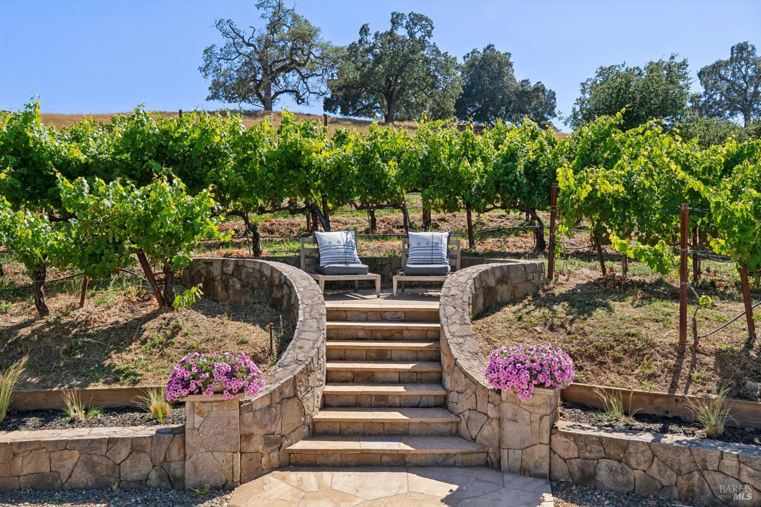 1297 Leaning Oak Drive Napa CA 94558