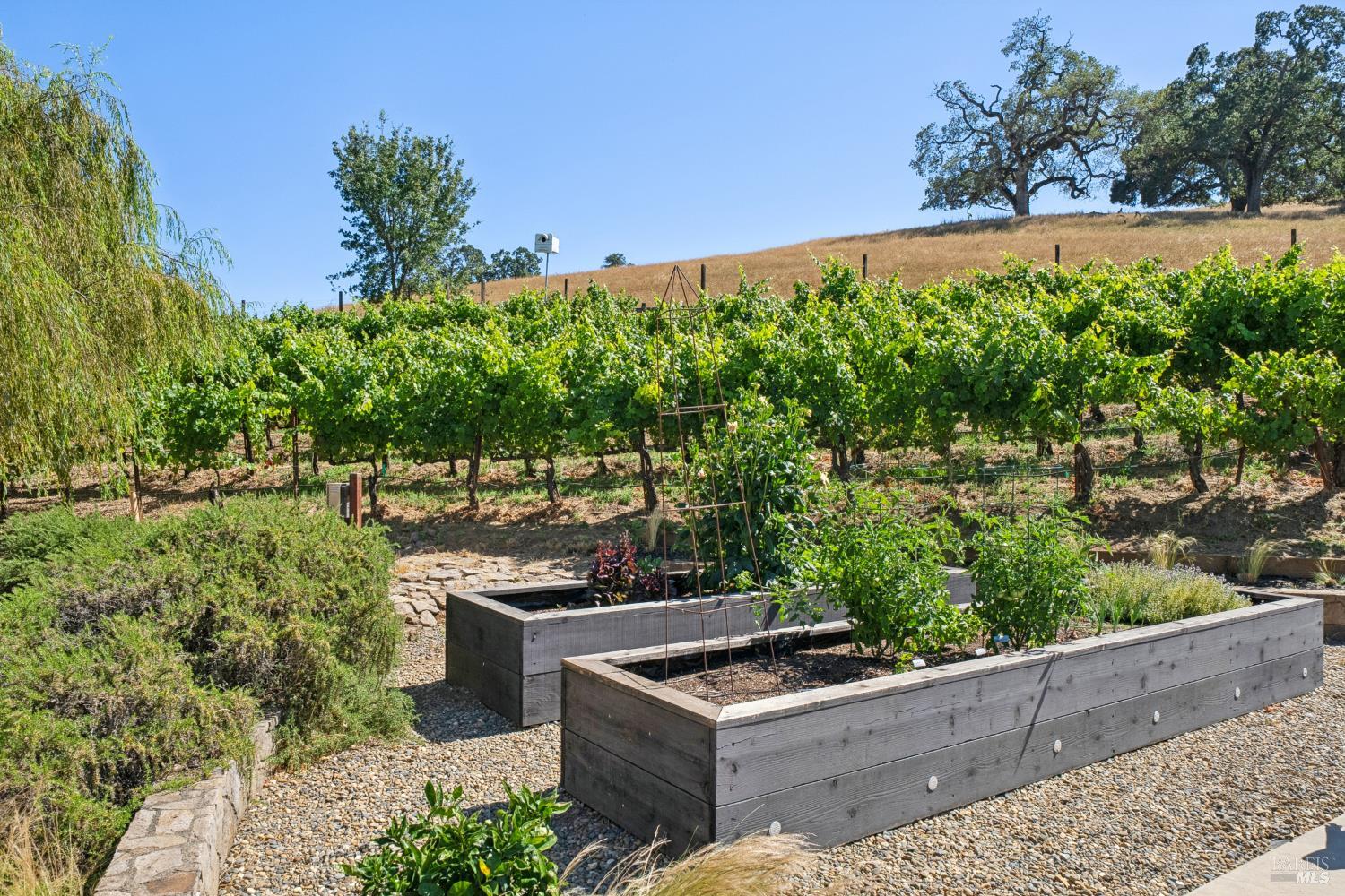 1297 Leaning Oak Drive Napa CA 94558