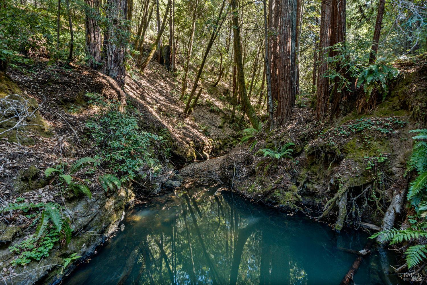 4901 Little Mill Creek Road Philo CA 95466