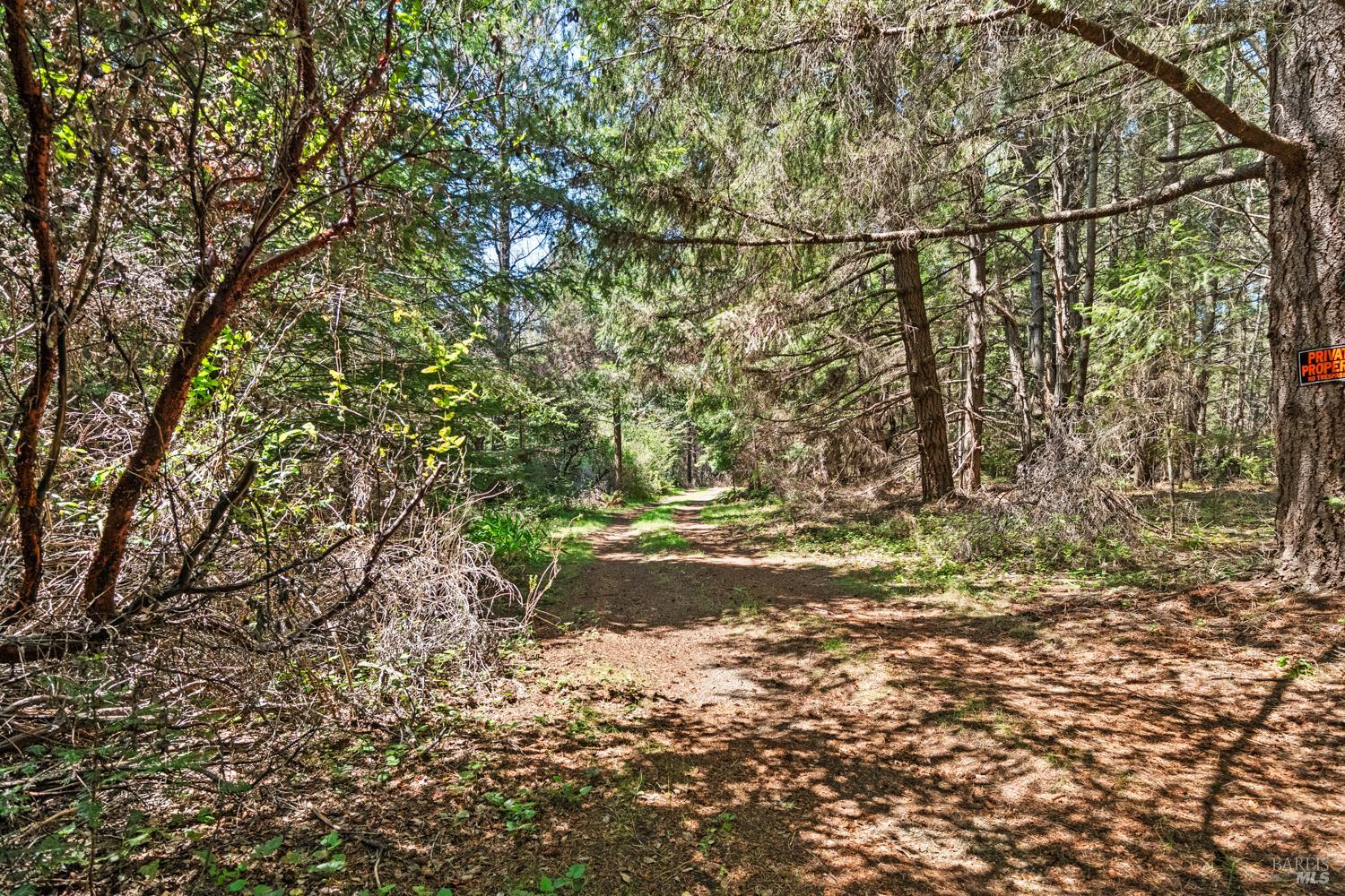 46320 Iversen Road Point Arena CA 95468