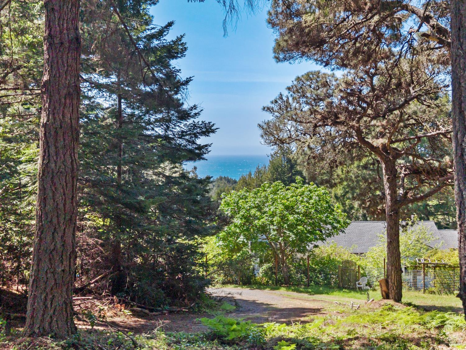 46320 Iversen Road Point Arena CA 95468