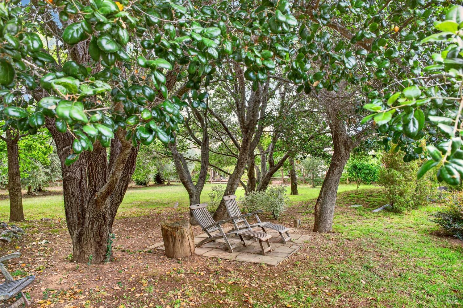48 Garfield Lane Napa CA 94558