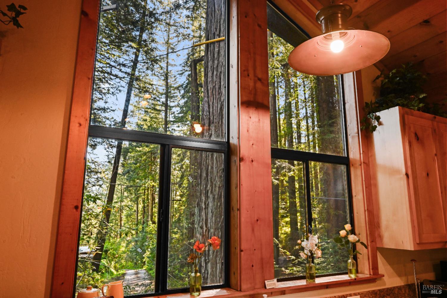 9 Huckleberry Heights Cazadero CA 95421
