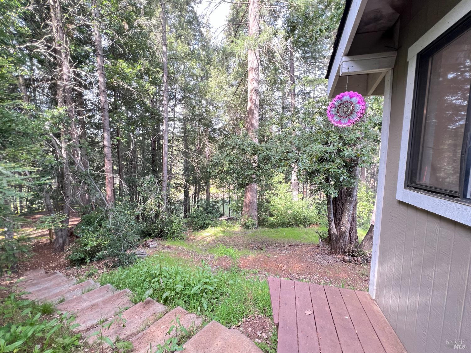 4000 Ridgewood Road Willits CA 95490