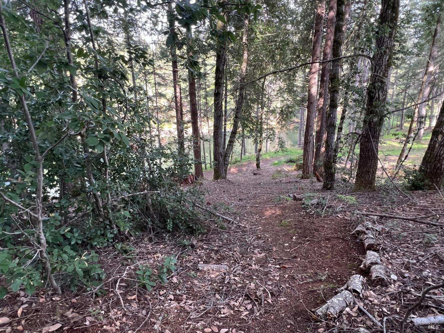 4000 Ridgewood Road Willits CA 95490