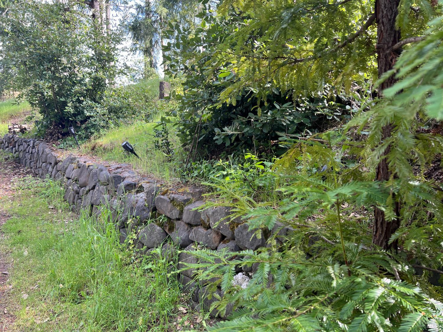 4000 Ridgewood Road Willits CA 95490