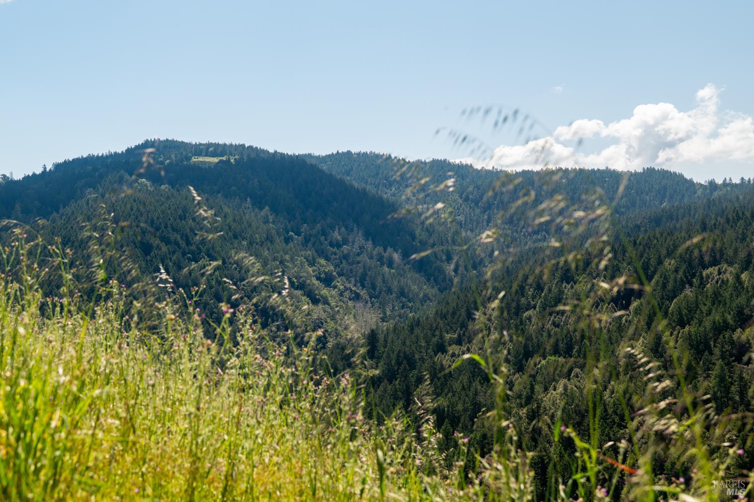 10500 Peachland Road Boonville CA 95415