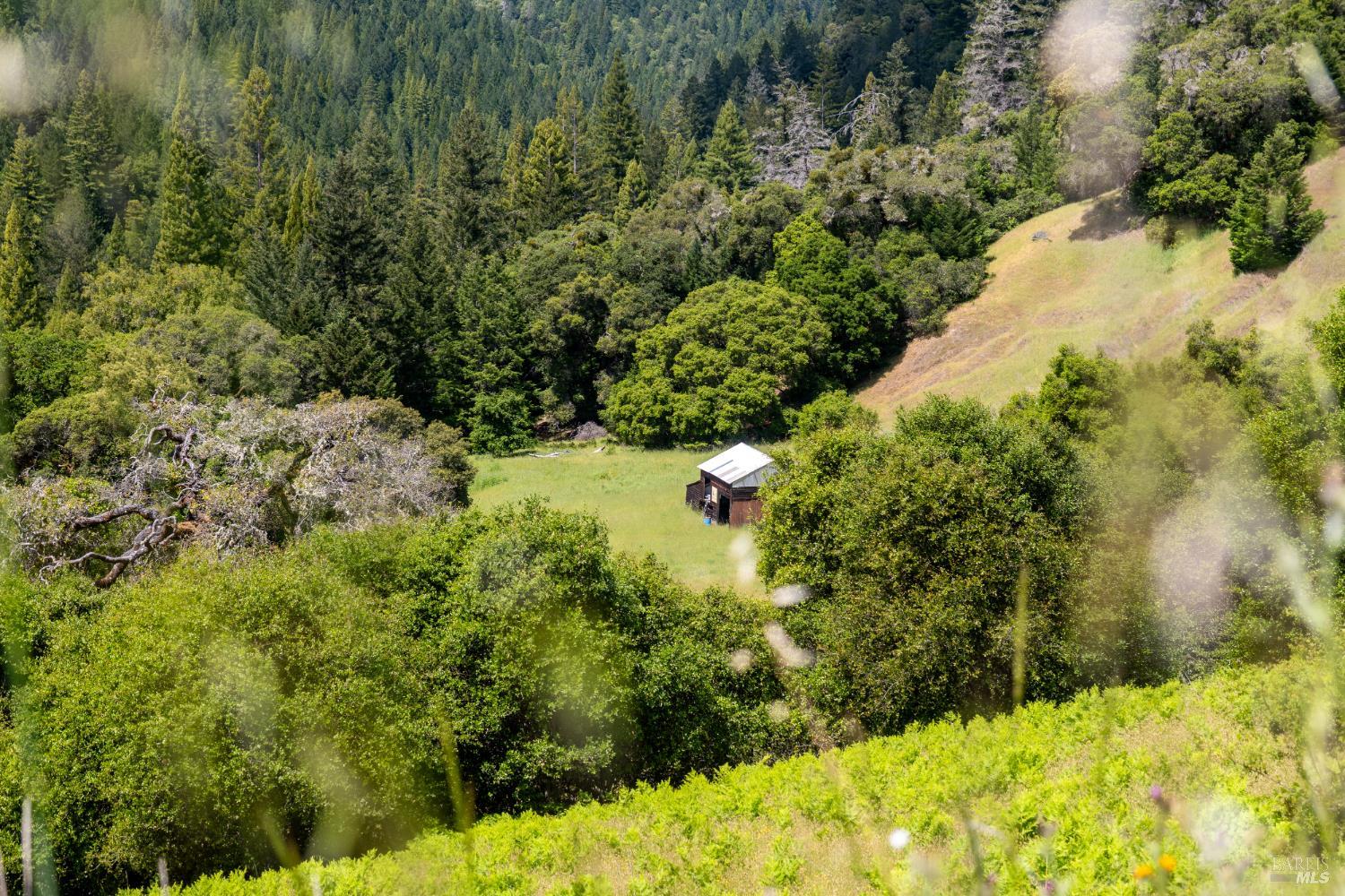 10500 Peachland Road Boonville CA 95415