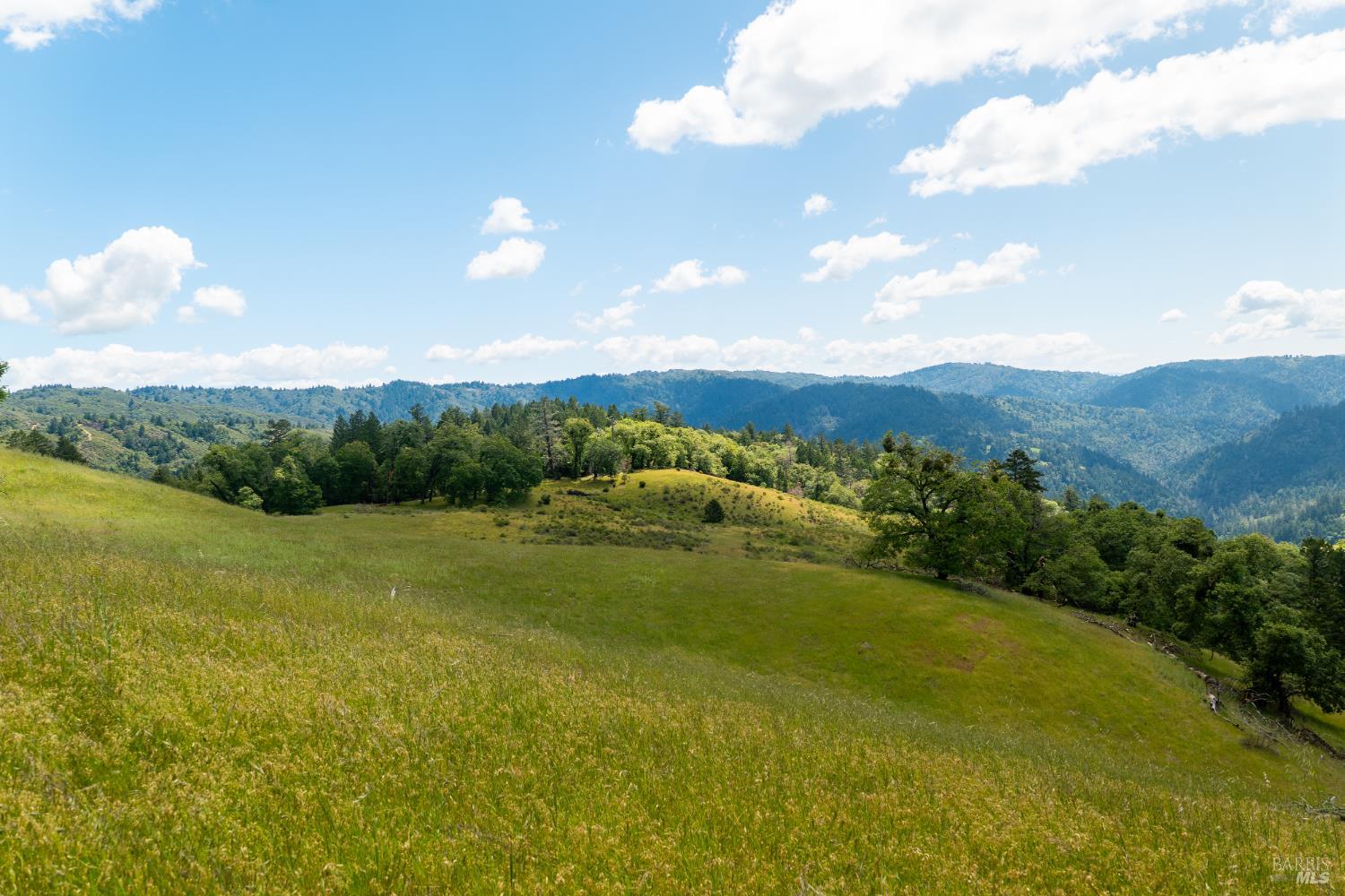 10500 Peachland Road Boonville CA 95415