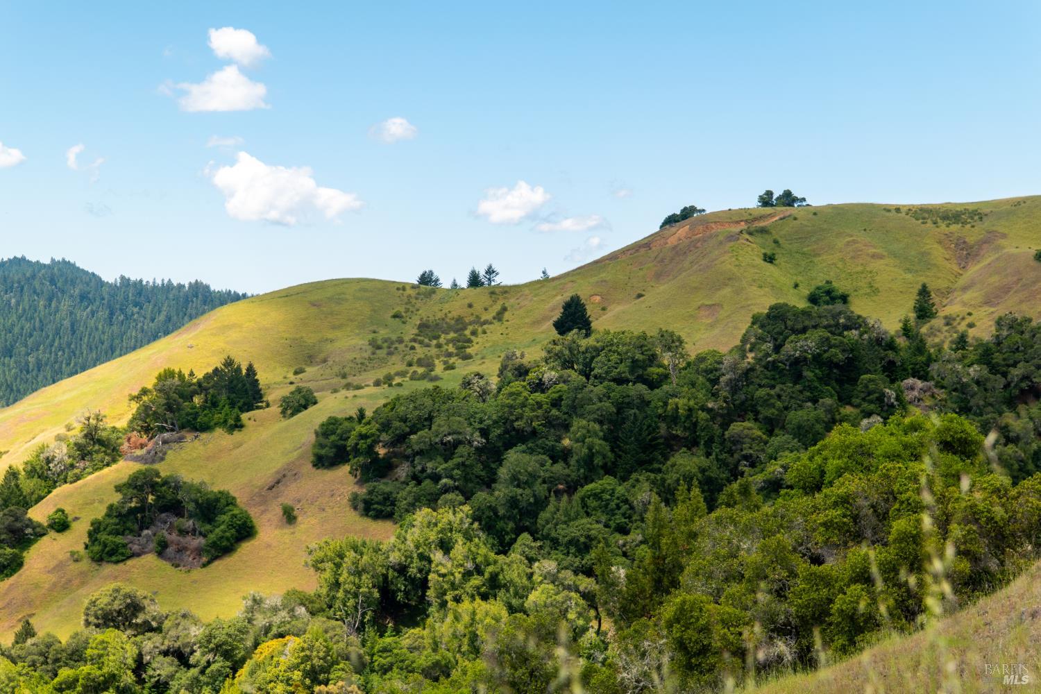 10500 Peachland Road Boonville CA 95415