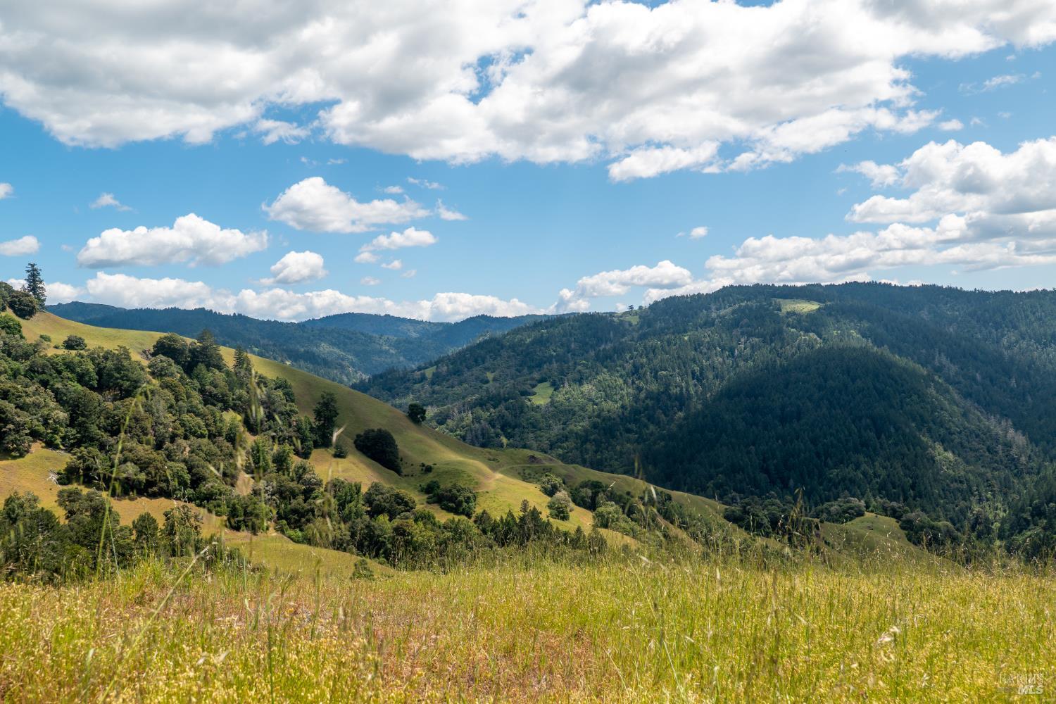 10500 Peachland Road Boonville CA 95415