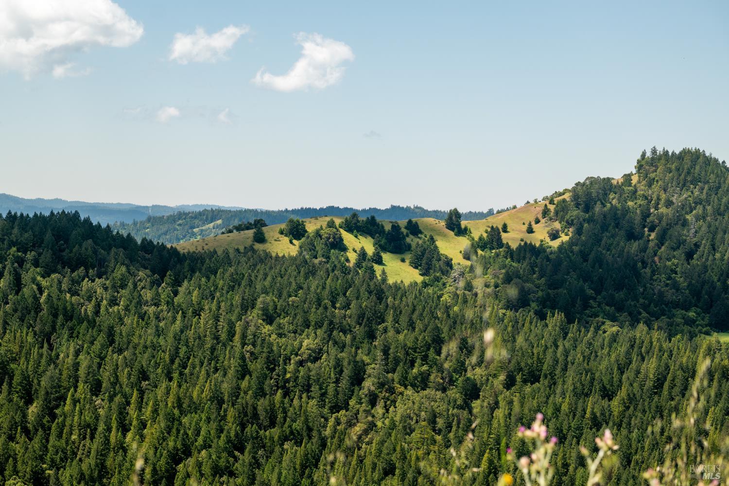 10500 Peachland Road Boonville CA 95415