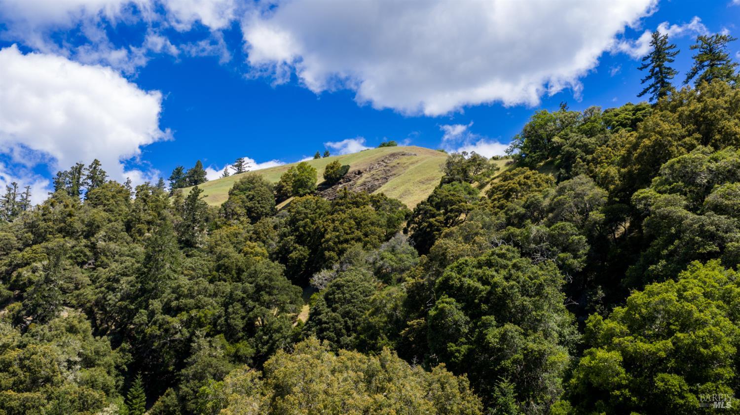 10500 Peachland Road Boonville CA 95415