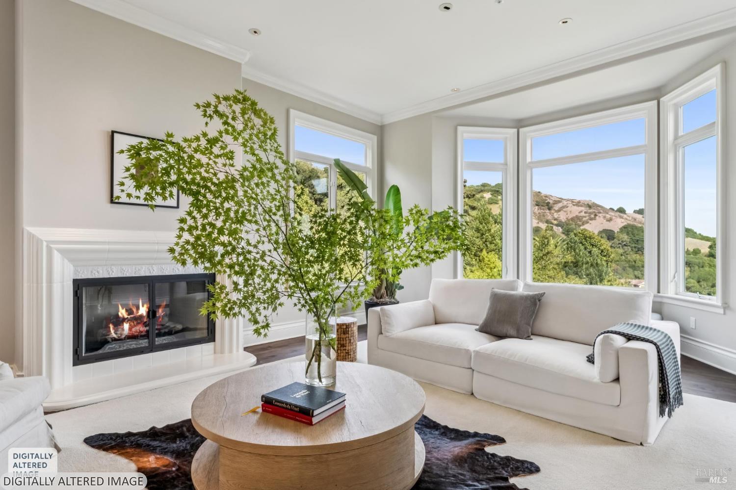 270 Margarita Drive San Rafael CA 94901
