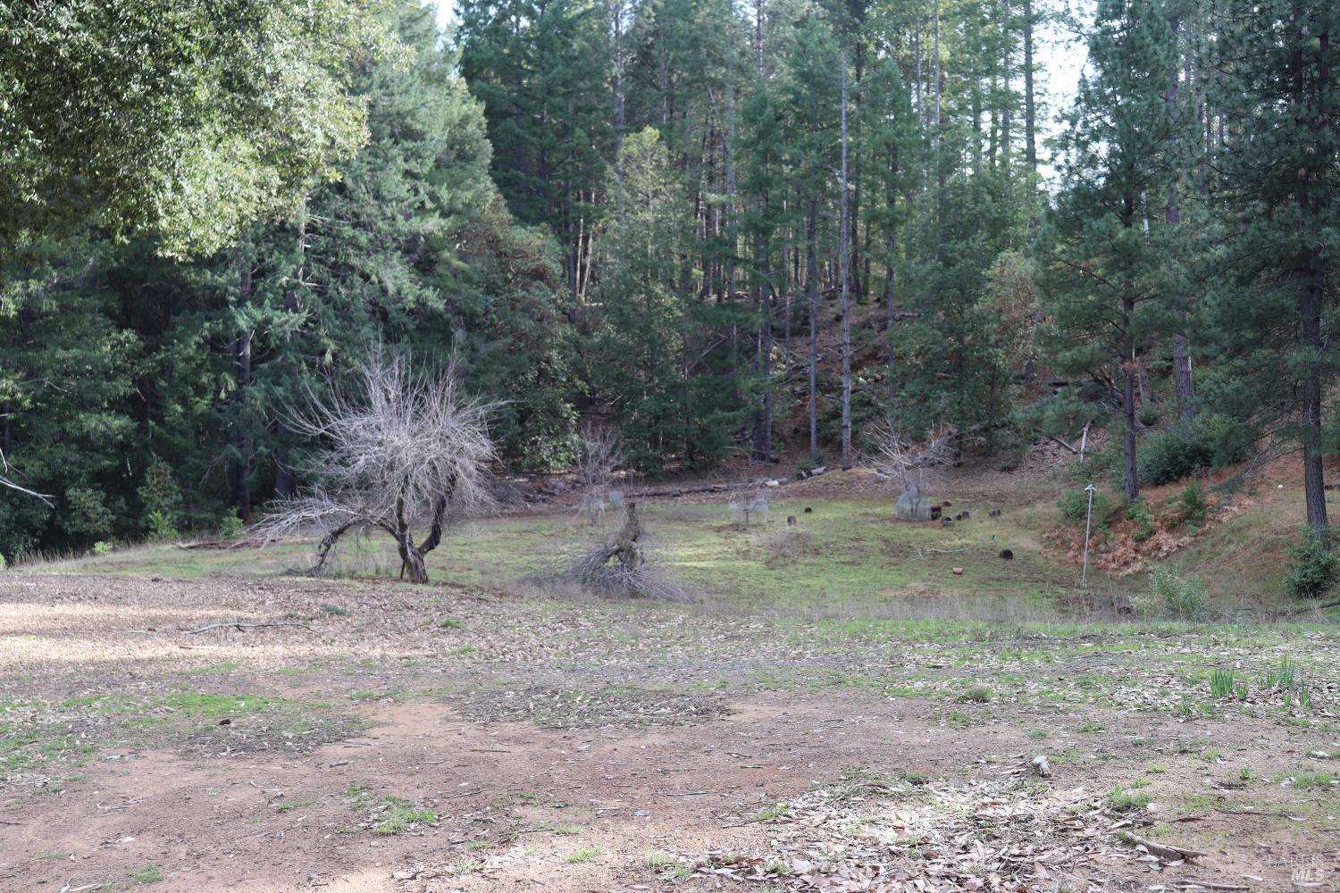 7020 Hearst Road Willits CA 95490