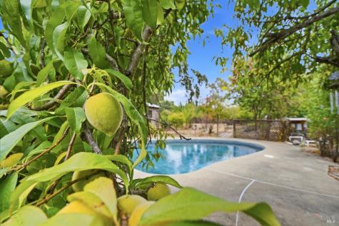 19229 Orange Avenue Sonoma CA 95476