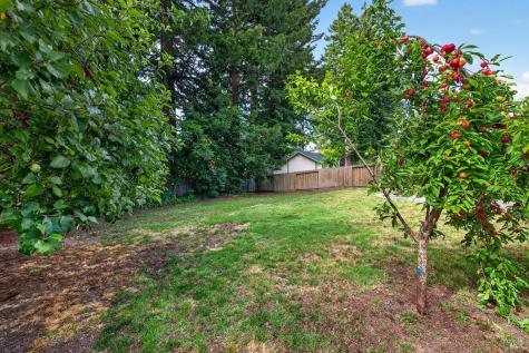 8135 Valentine Avenue Sebastopol CA 95472