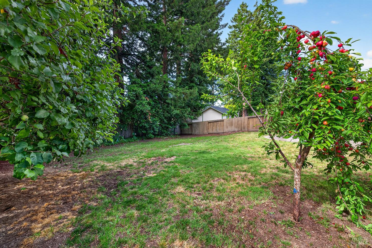 8135 Valentine Avenue Sebastopol CA 95472
