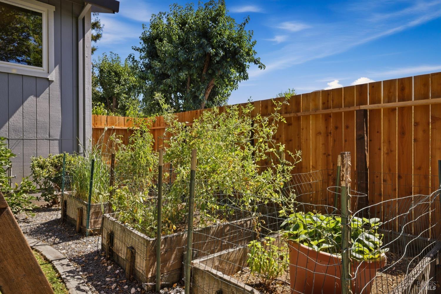 3535 Banyan Street Santa Rosa CA 95403