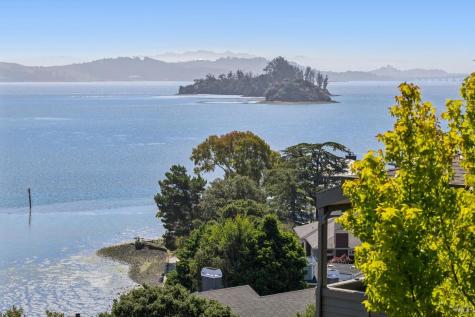 565 San Pedro Cove San Rafael CA 94901