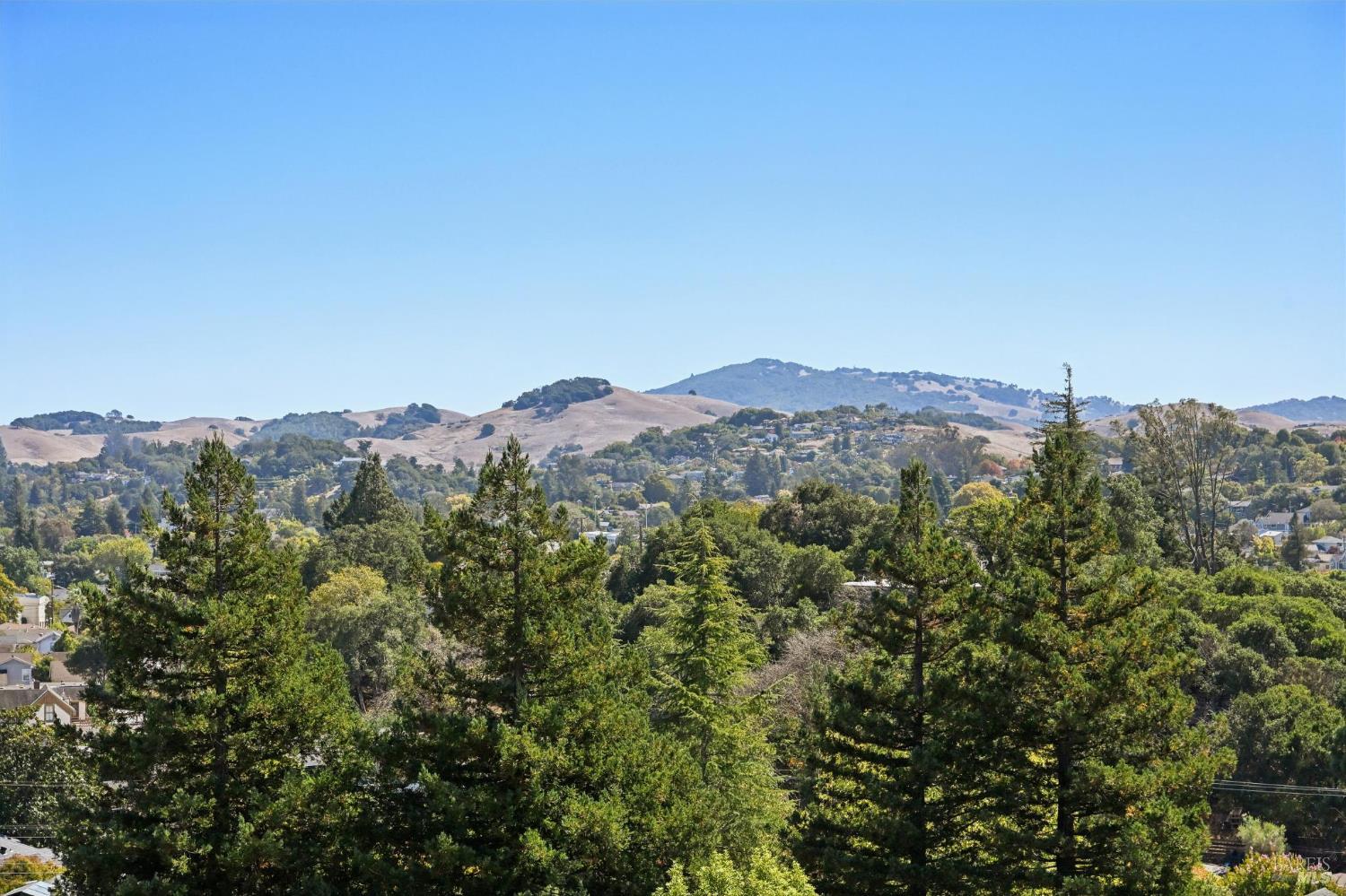 827 N Webster Street Petaluma CA 94952