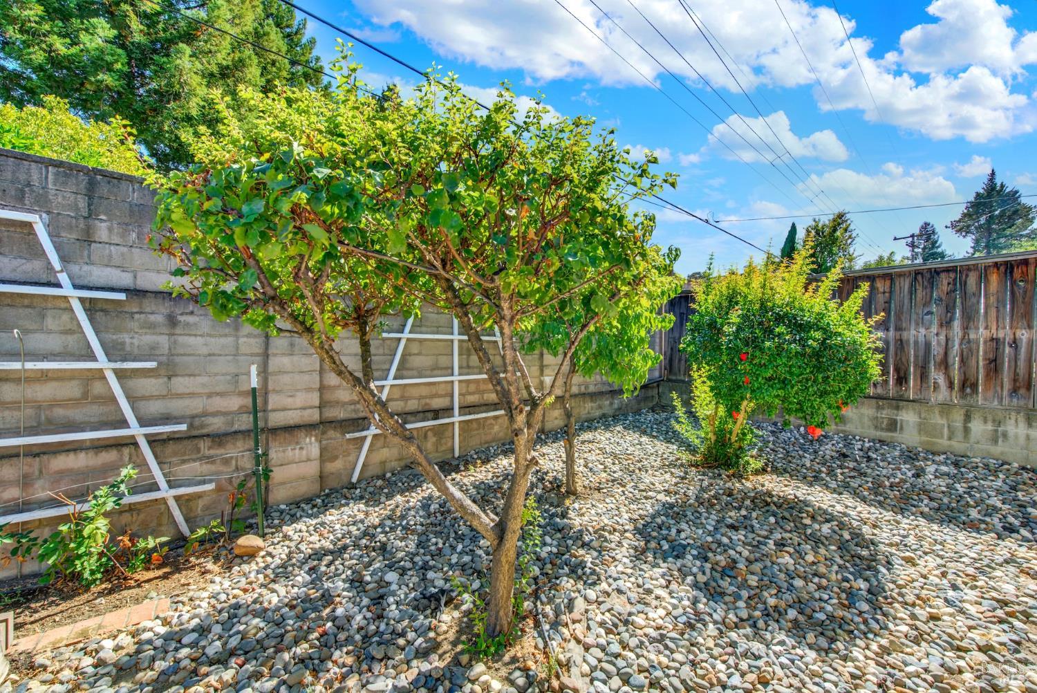 470 Meadowview Drive Vacaville CA 95688