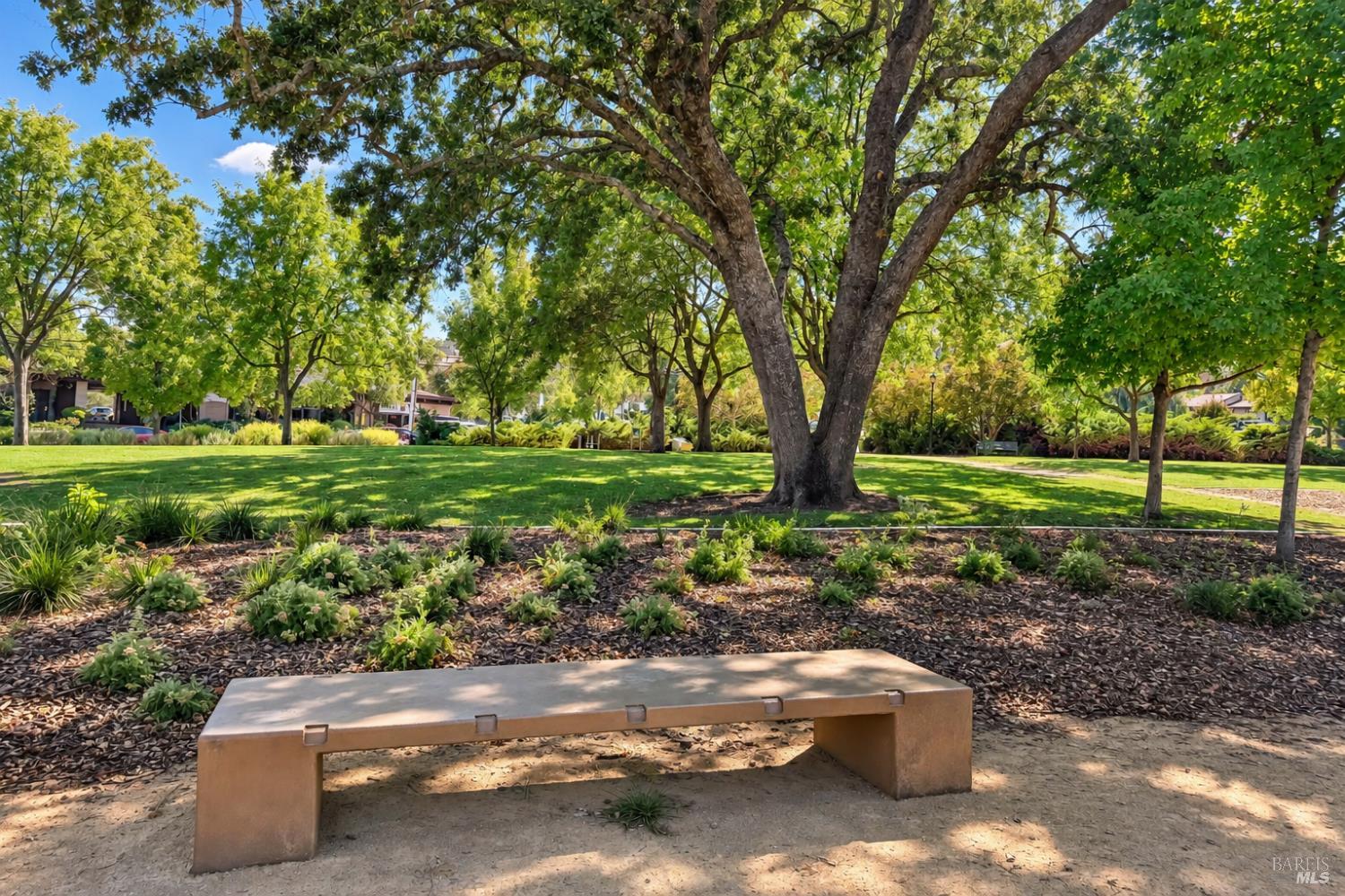 470 Meadowview Drive Vacaville CA 95688