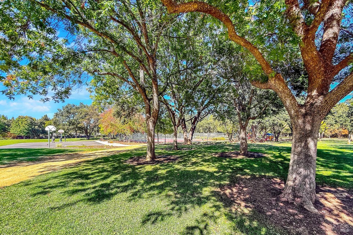 470 Meadowview Drive Vacaville CA 95688