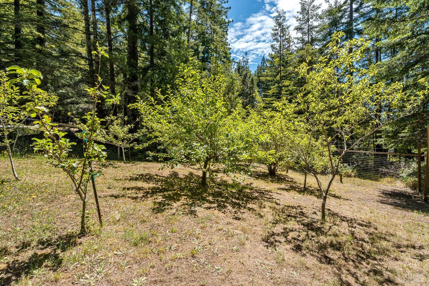 40900 Old Stage Road Gualala CA 95445