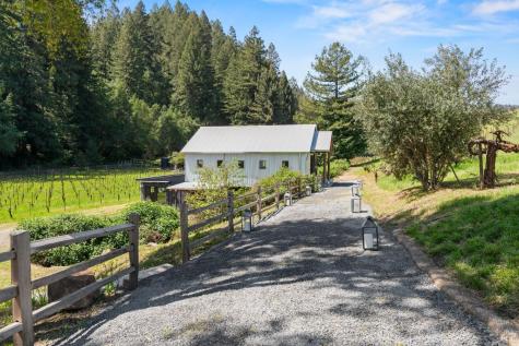 8781 Martinelli Road Forestville CA 95436