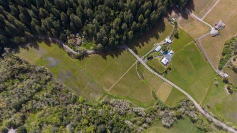 8781 Martinelli Road Forestville CA 95436