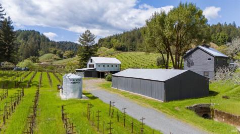 8781 Martinelli Road Forestville CA 95436