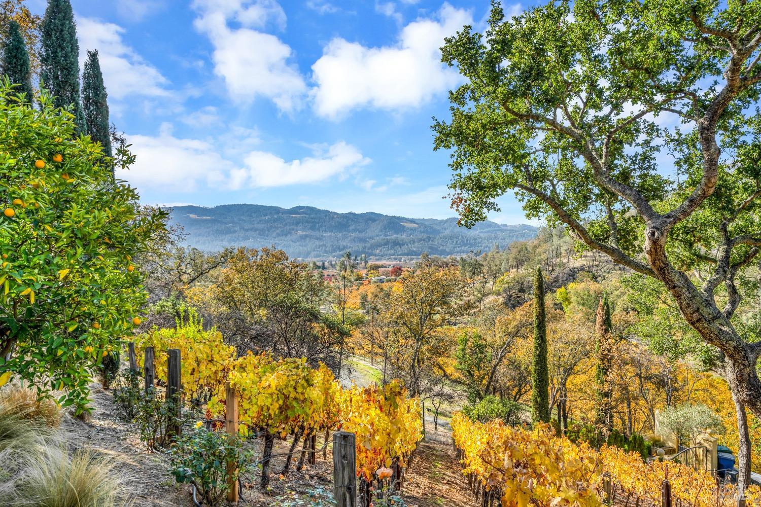 2395 Pickett Road Calistoga CA 94515