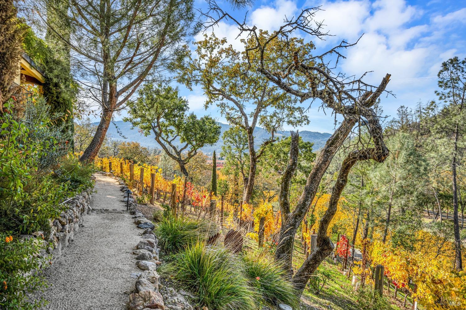 2395 Pickett Road Calistoga CA 94515
