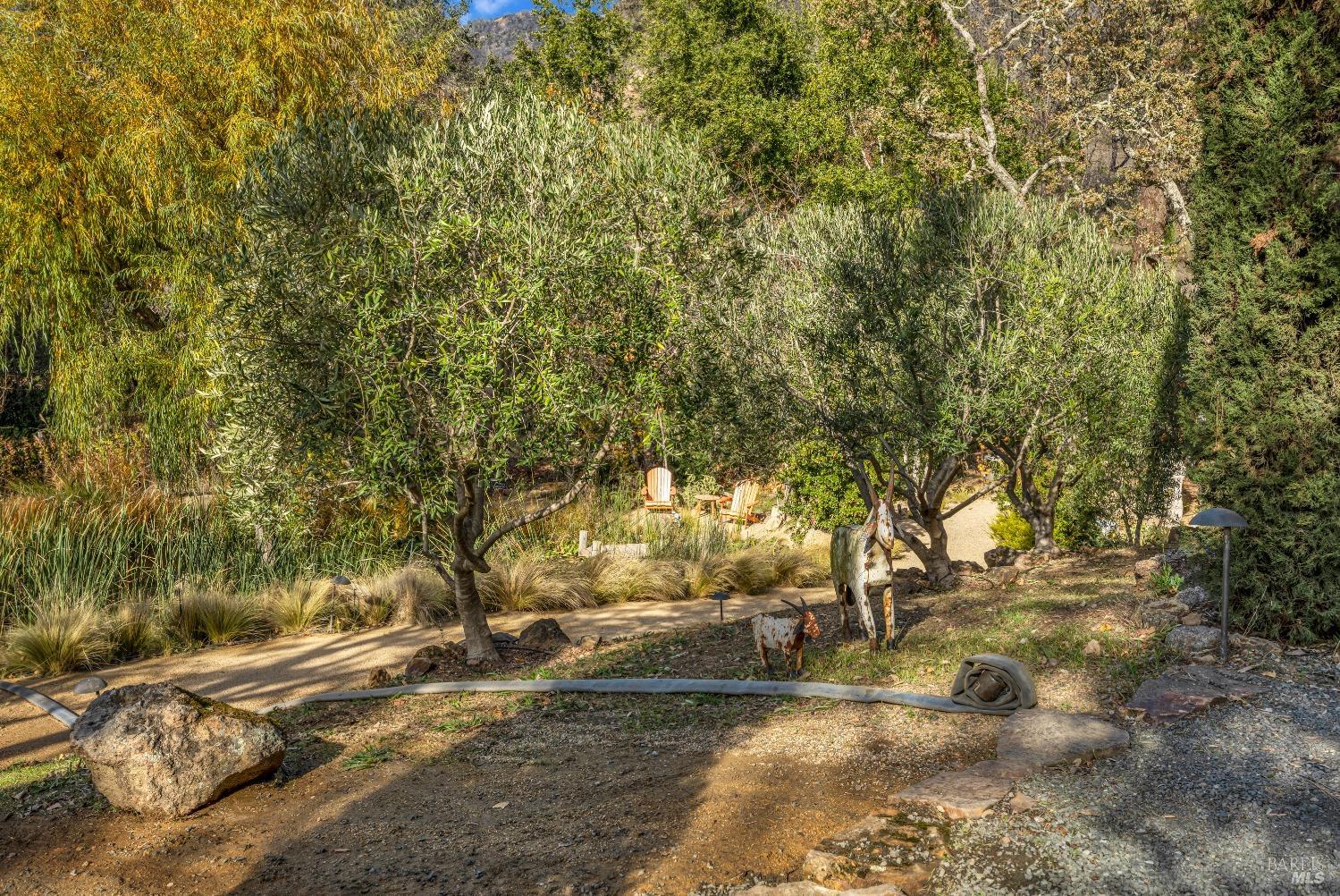 2395 Pickett Road Calistoga CA 94515