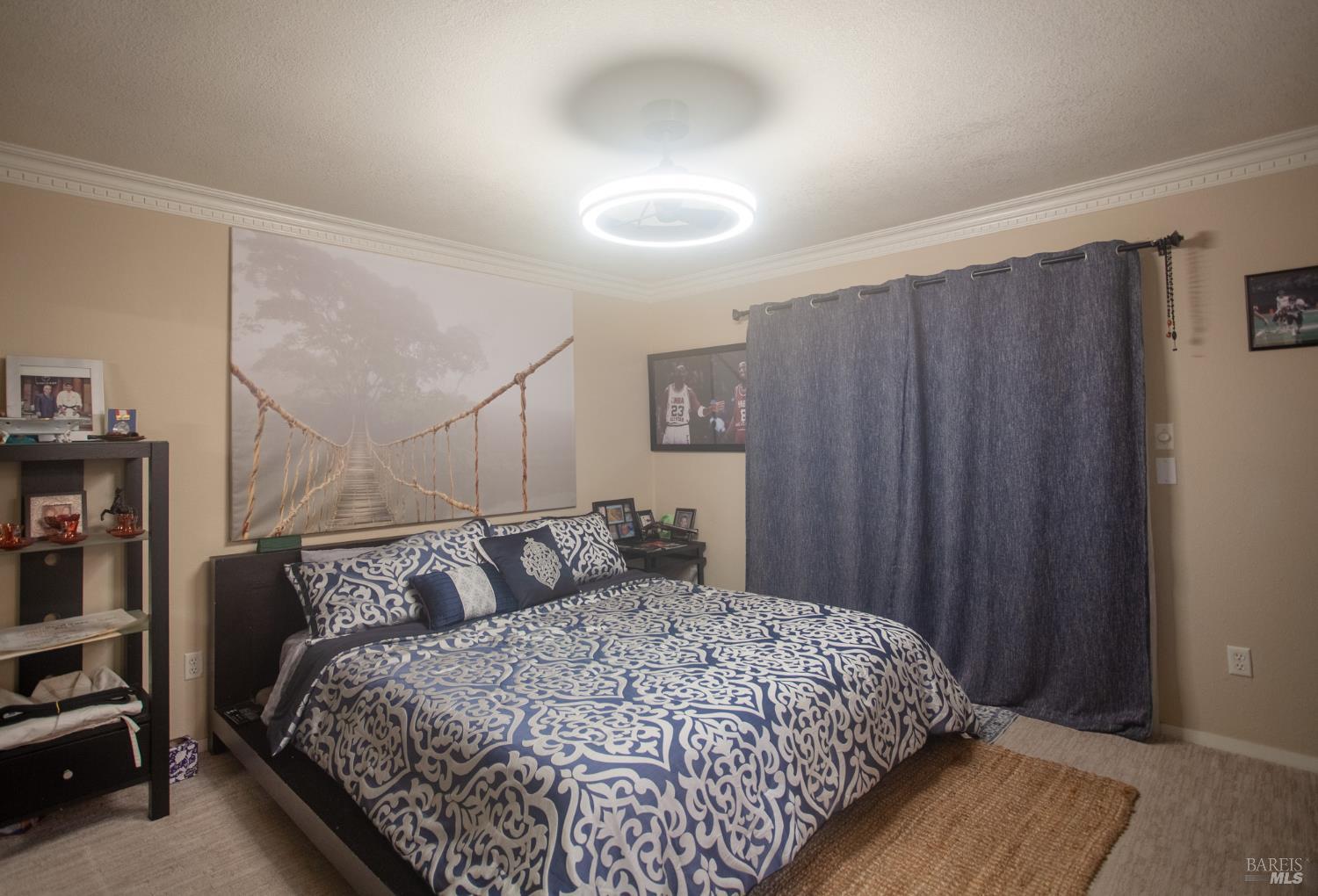226 Bonnie Lane Willits CA 95490