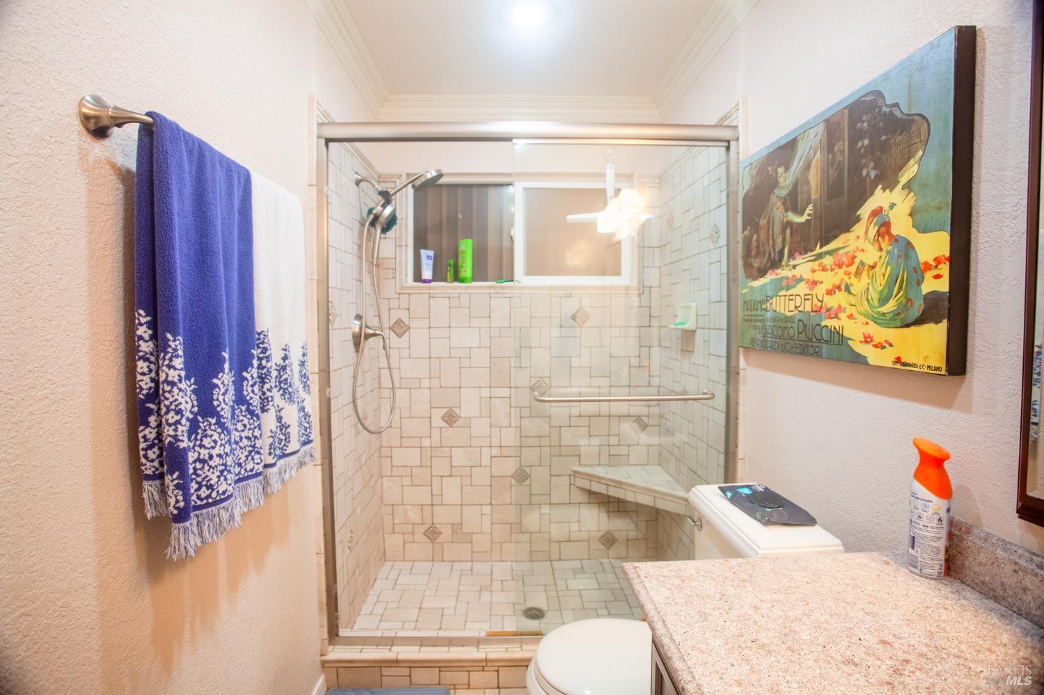 226 Bonnie Lane Willits CA 95490
