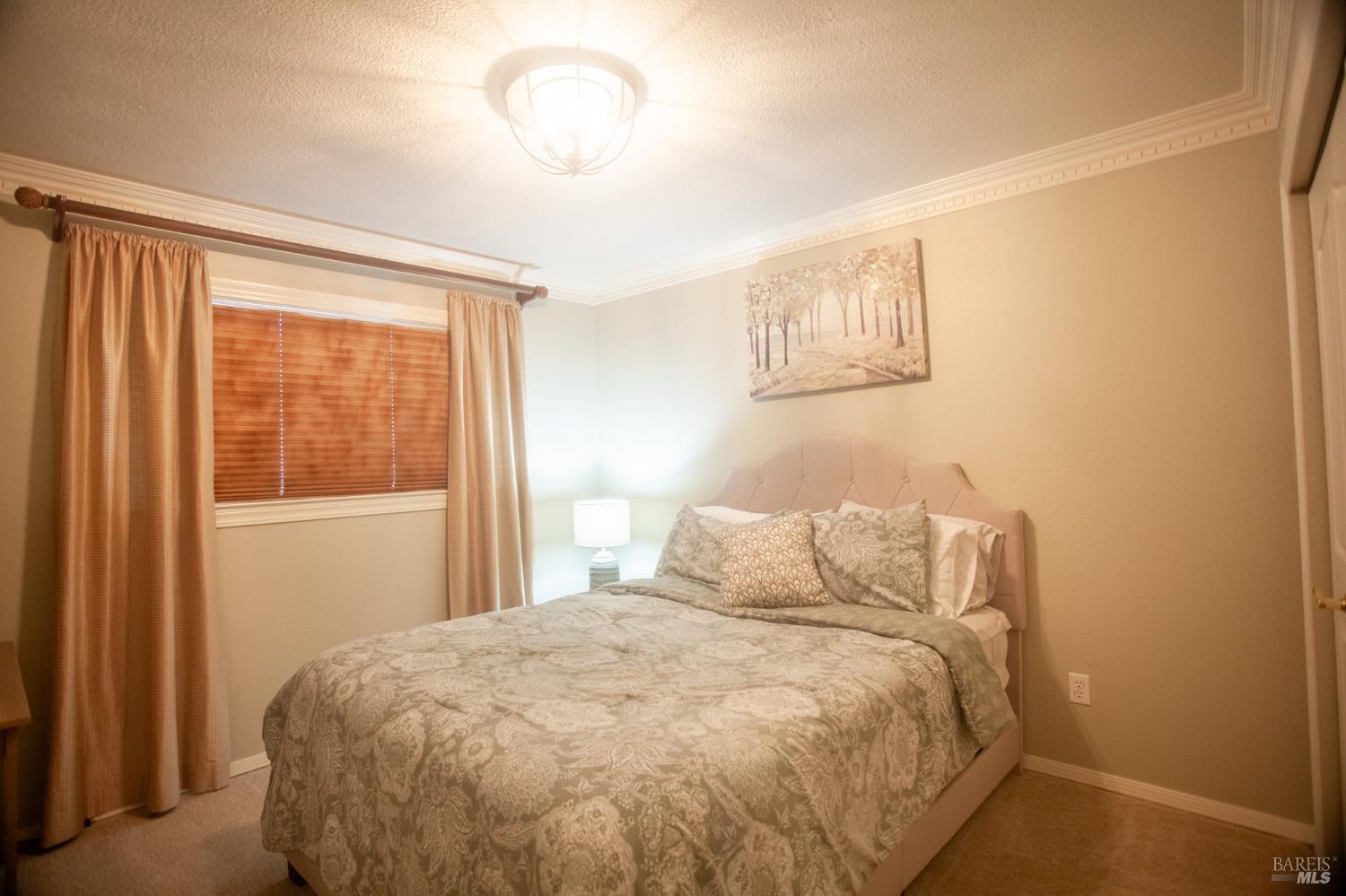 226 Bonnie Lane Willits CA 95490
