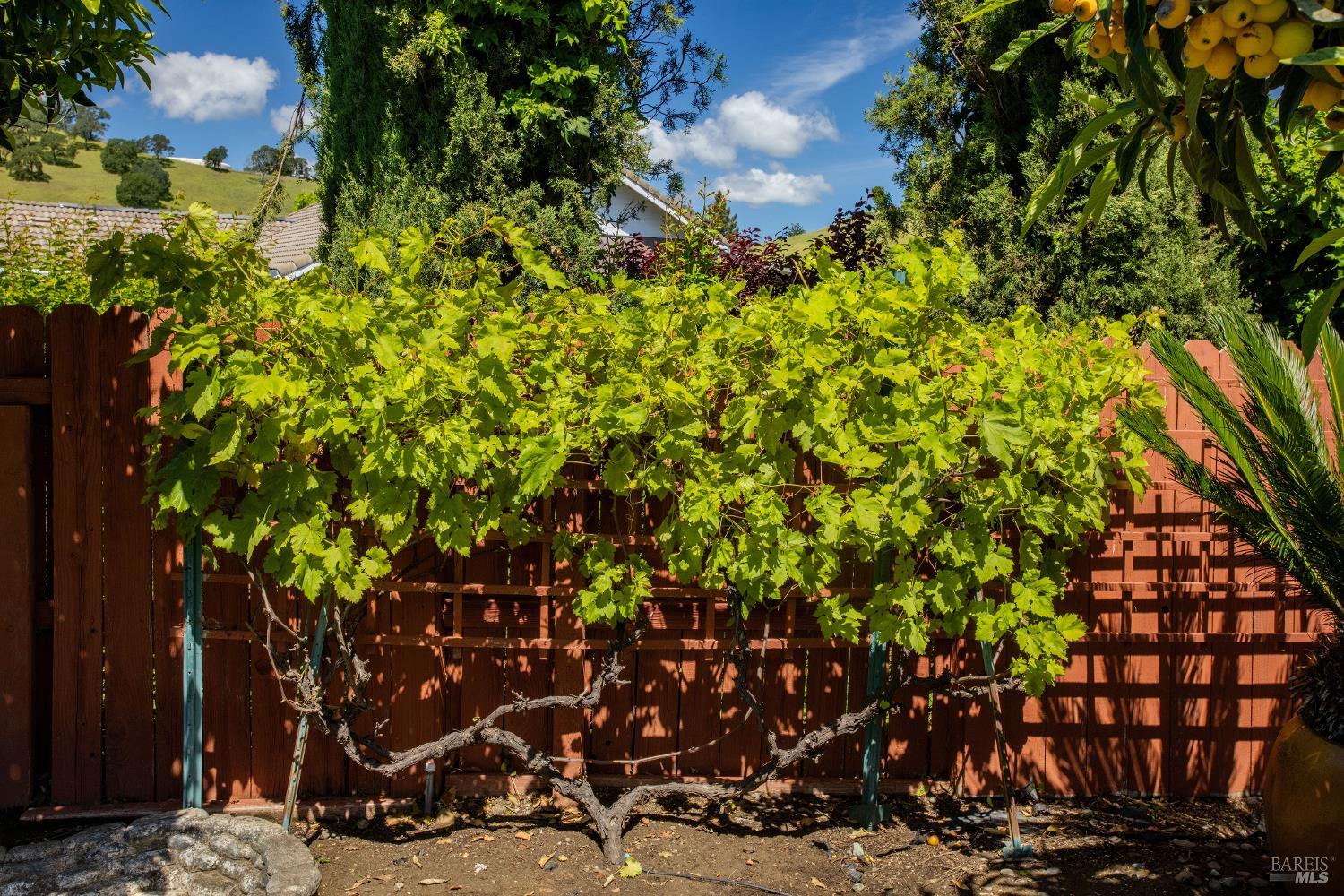 2513 Troon Court Fairfield CA 94534